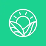 Thrive Market